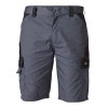 Dickies Grey Everyday Shorts
