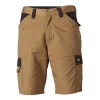 Dickies Khaki Everyday Shorts